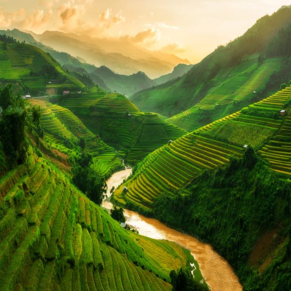 vietnam tour