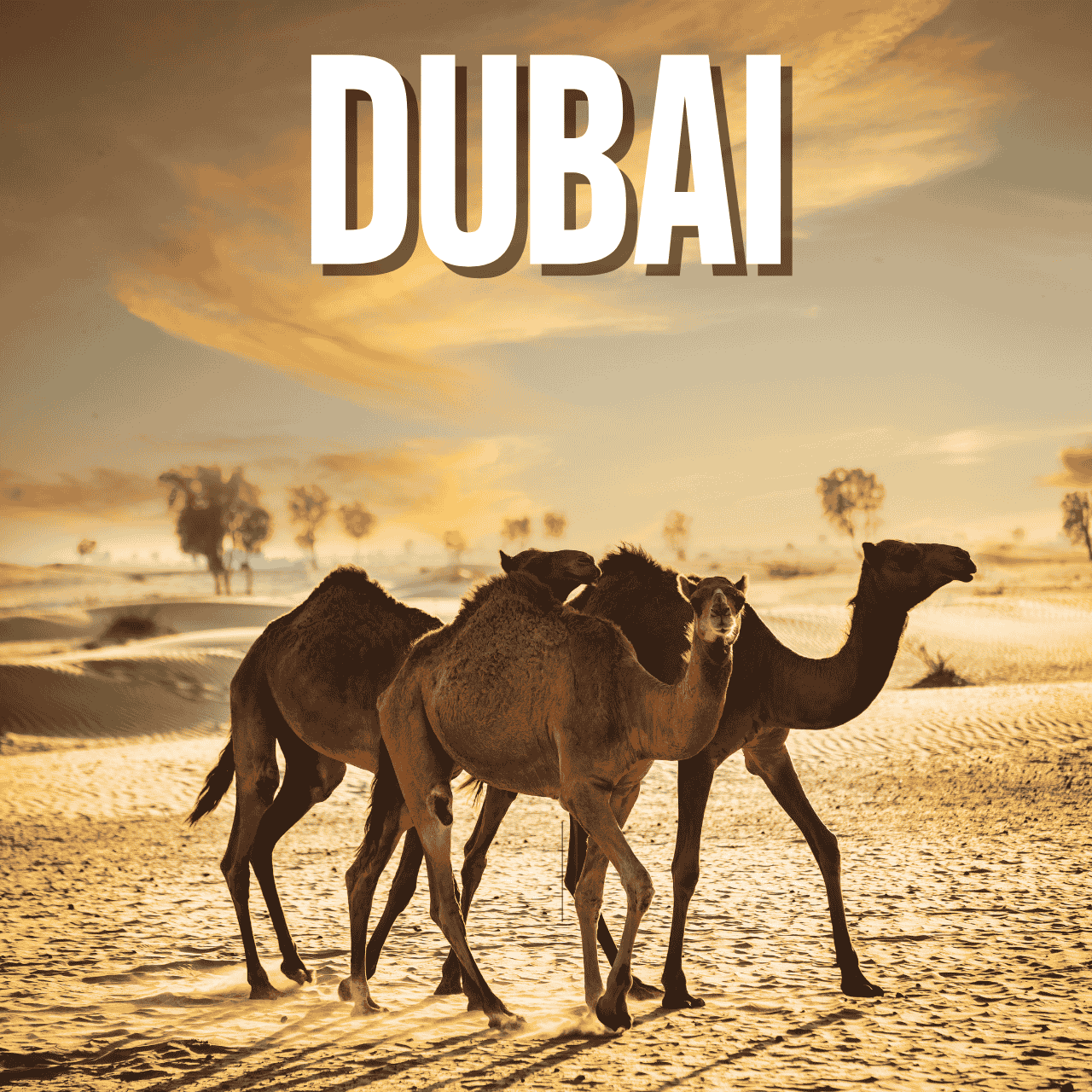 dubai tour