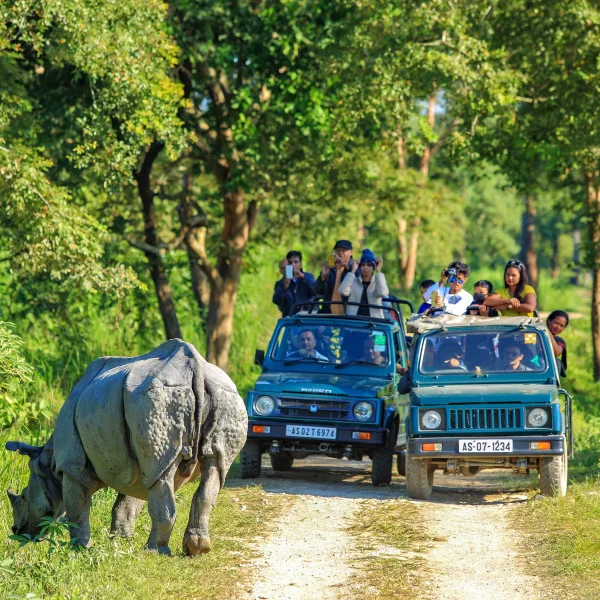 Meghalaya 7Days Tour Package