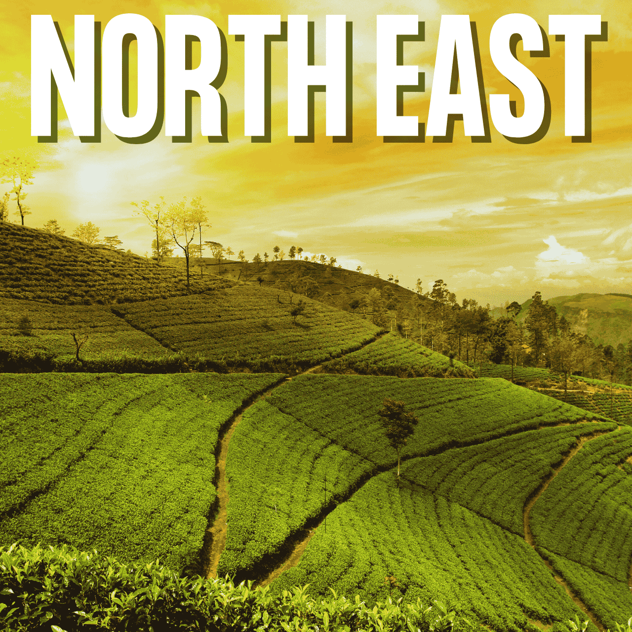 north east