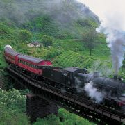 Nuwara eliya srilanka