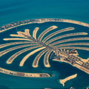 palm tree dubai