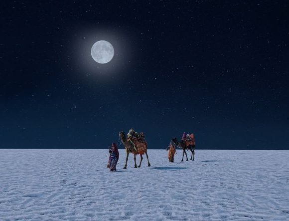 Rann of Kutch Tour Package