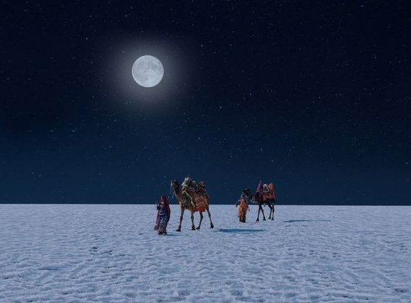 Rann of Kutch Tour Package