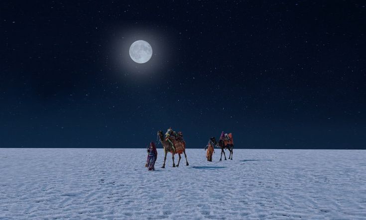 Rann of Kutch Tour Package