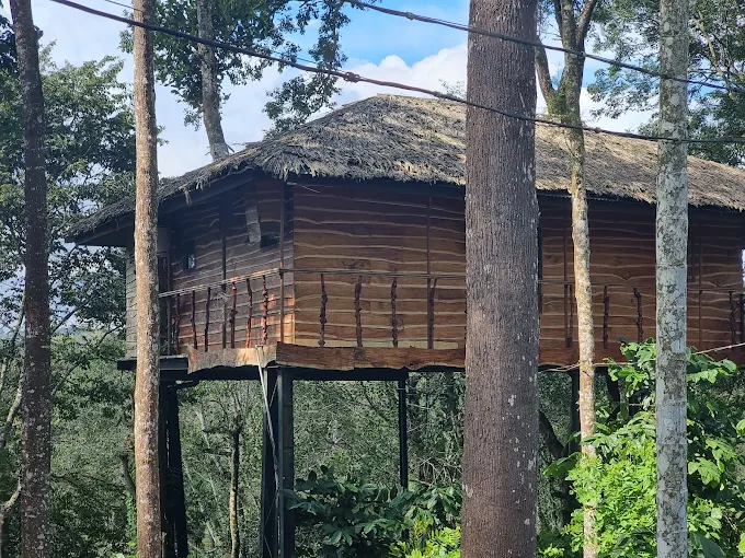 tranquil treehouse wayanad