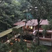 top 5 treehouse in wayanad
