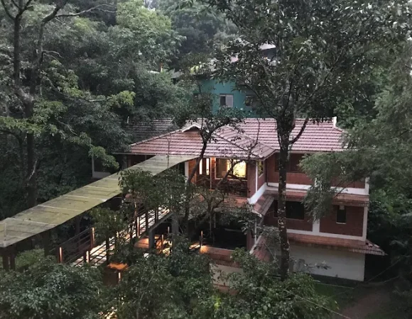 Top 5 Treehouse Getaways in Wayanad