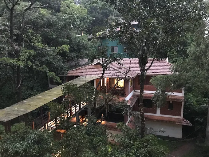 top 5 treehouse in wayanad
