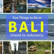 top 10 things to do in bali