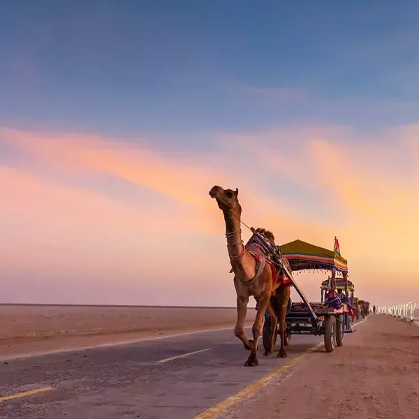 rann of kutch tour package
