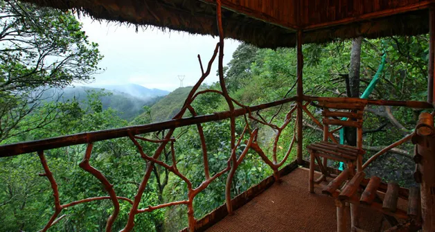 vanya tree house wayanad
