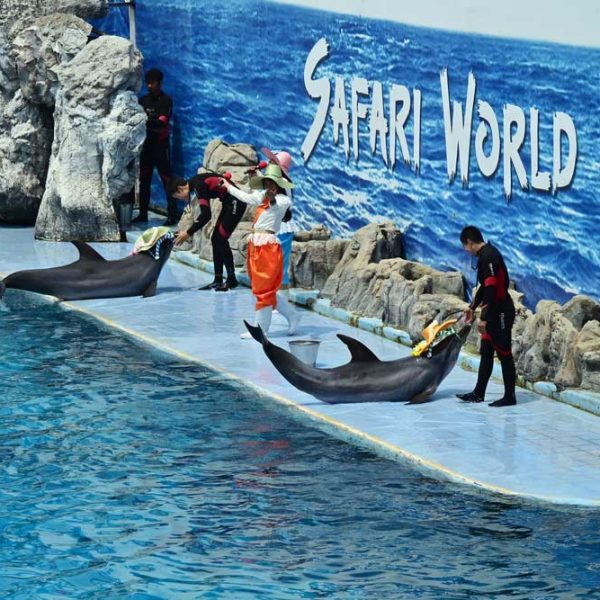 Safari World and Marine Park Bangkok