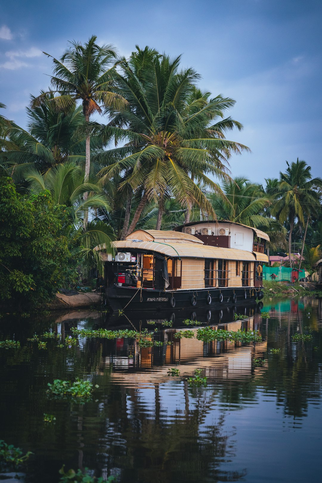Houseboat moored on a tranquil Kerala backwater during monsoon season